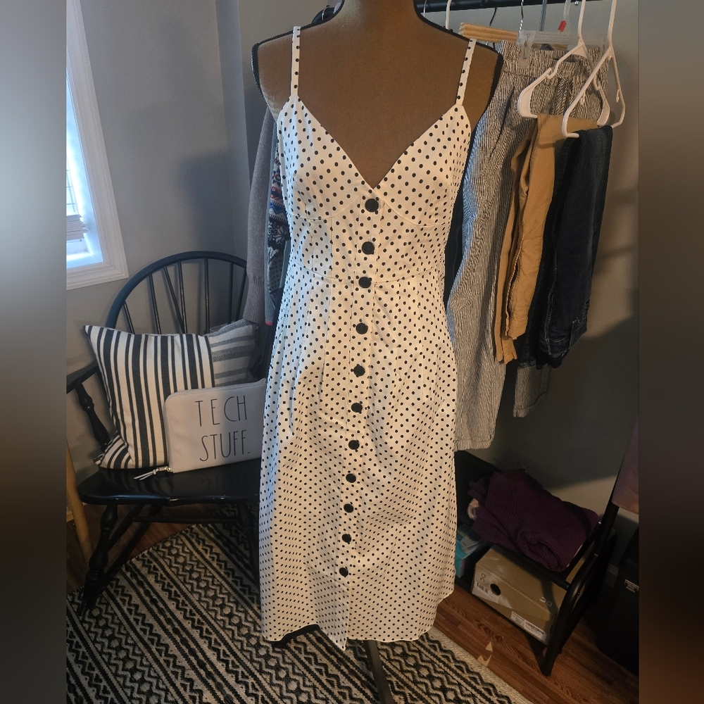 J Crew Button Front Stretch Twill Dress in Painted Dot